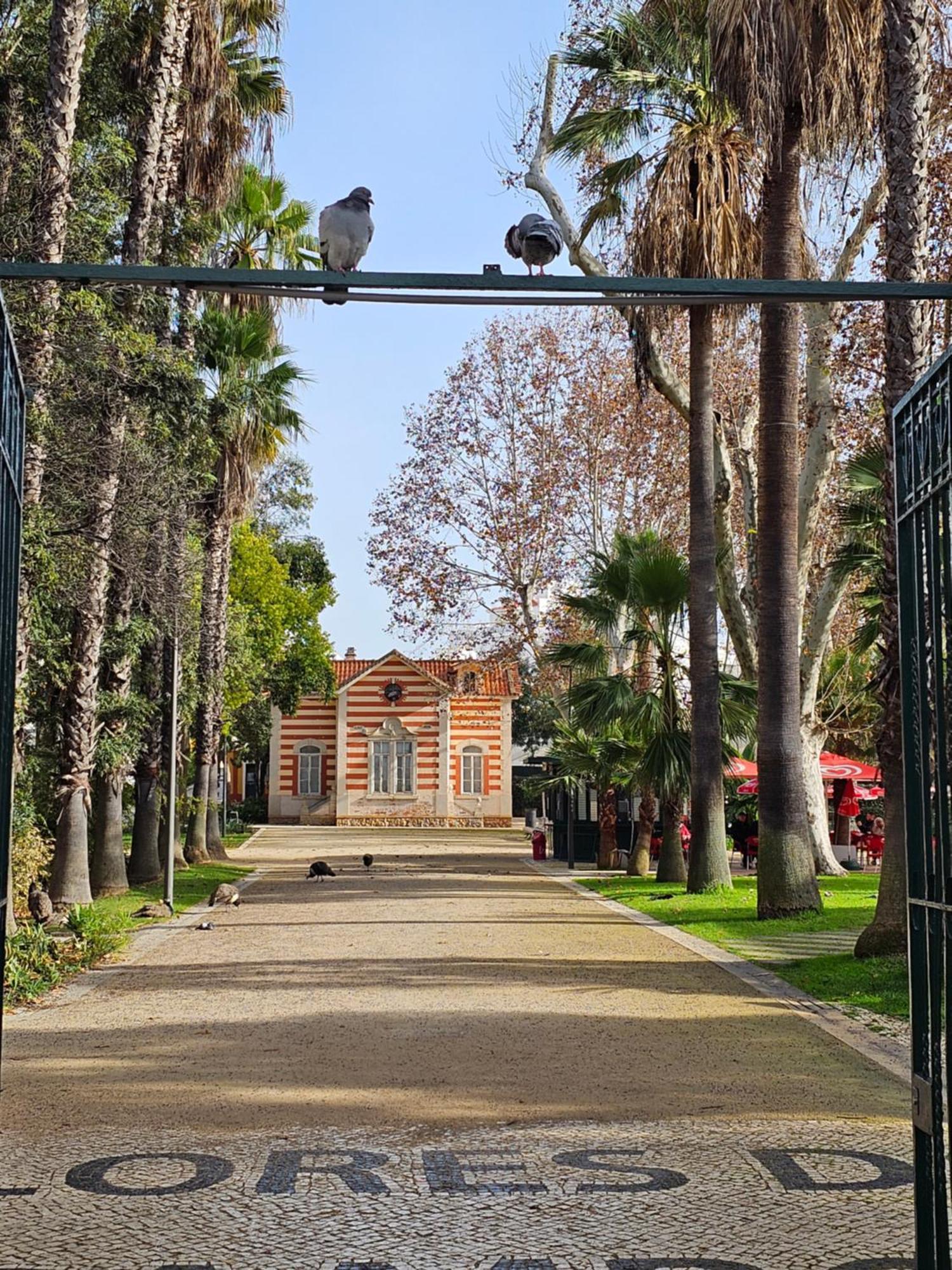 파로 Casa Jasmim 아파트 외부 사진