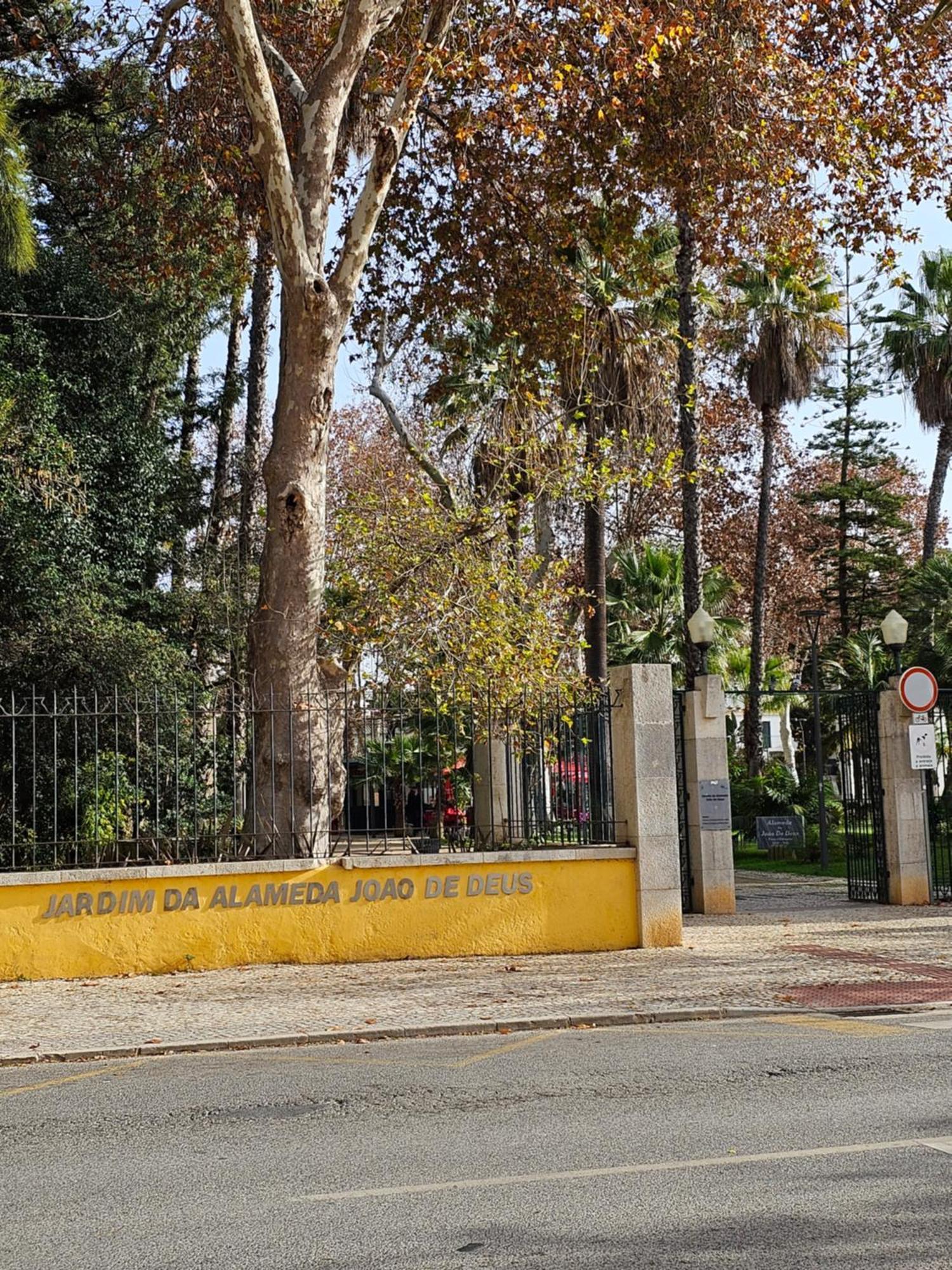 파로 Casa Jasmim 아파트 외부 사진